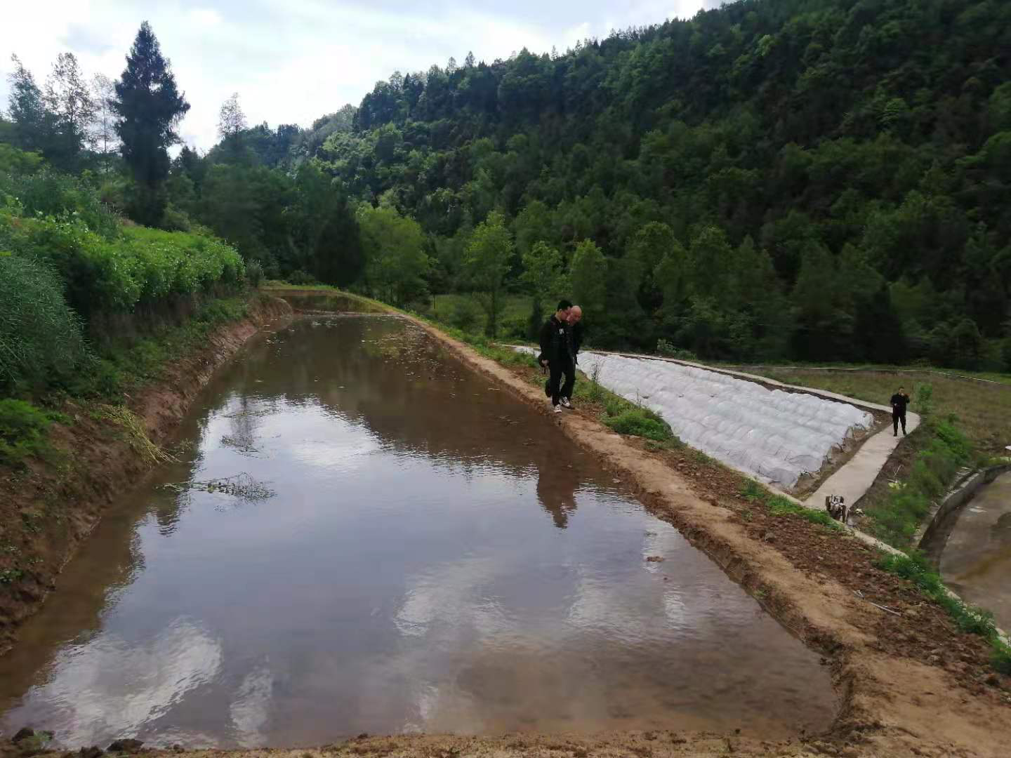 市自然資源和規劃局會同專家,組織縣自然資源局,紅峰鎮黨委政府,村社